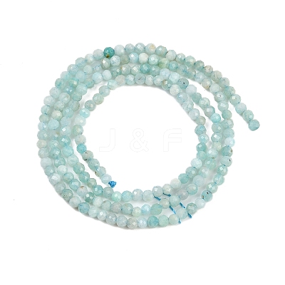 Natural Amazonite Bead Strands X-G-P279-42-2mm-01-1