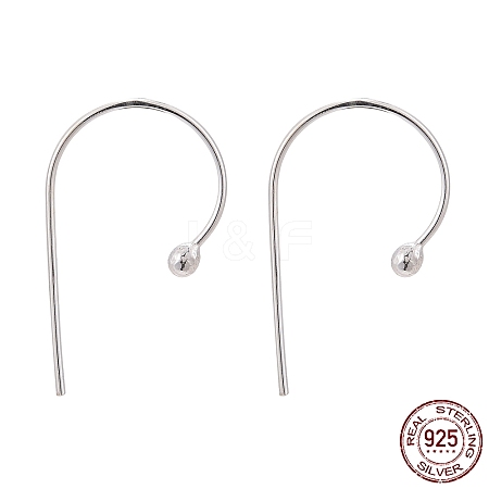 925 Sterling Silver Earring Hooks STER-T002-167S-1