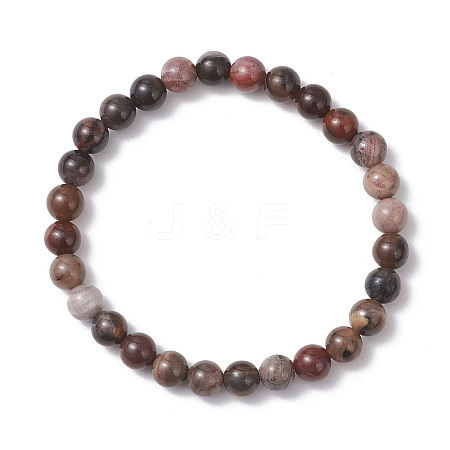 Natural Petrified Wood Beads Stretch Bracelets for Women BJEW-JB12604-1