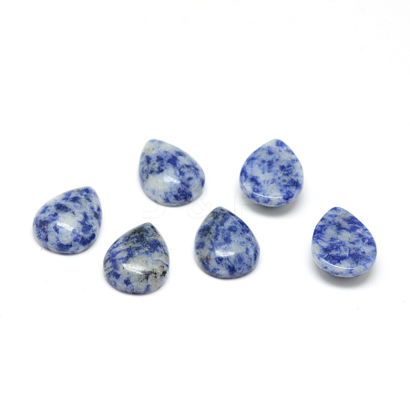 Natural Blue Spot Jasper Cabochons G-T024-10x14mm-07-1