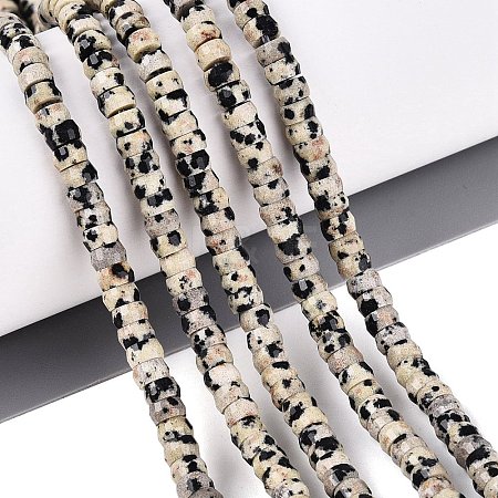 Natural Dalmatian Jasper Beads Strands G-Q606-46A-01-1