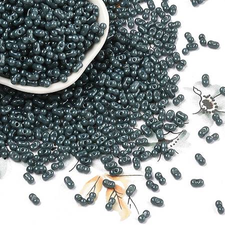 Baking Paint Glass Seed Beads SEED-L011-09A-23-1