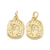 Rack Plating Brass Micro Pave Clear Cubic Zirconia Charms ZIRC-C042-06G-2