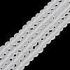 Transparent Glass Beads Strands EGLA-A044-T4mm-MD19-2