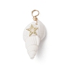 6Pcs 6 Styles Natural Shell Pendants PALLOY-JF03882-3