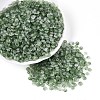 Baking Paint Glass Seed Beads GLAA-T023-43A-3