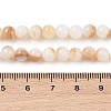 Natural Freshwater Shell Beads Strands SHEL-T011-02-6mm-4