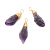 Natural Amethyst Pendants PALLOY-JF01049-1