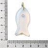 Opalite Pendants KK-D021-05B-G-3