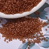 MIYUKI Delica Beads X-SEED-J020-DB0777-1