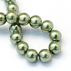 Baking Painted Pearlized Glass Pearl Round Bead Strands X-HY-Q003-6mm-49-4