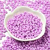 Baking Paint Luster Glass Seed Beads X1-SEED-B001-04A-07-2