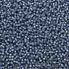 TOHO Round Seed Beads SEED-TR11-2102-2