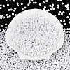 6/0 Half Plated Glass Beads SEED-N008-04H-1