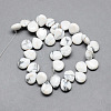 Natural Howlite Gemstone Beads Strands X-G-T005-17-2