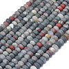 Natural African Bloodstone Beads Strands G-P575-A55-8x5mm-2