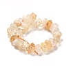 Natural Citrine Beads Strands G-N327-05-22-3