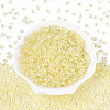 Transparent Colours Luster Glass Seed Beads SEED-N008-09F-2