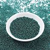 MIYUKI Round Rocailles Beads X-SEED-G007-RR0030-2