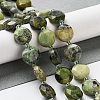 Natural Australia Jade/Chrysoprase Beads Strands G-NH0004-038-2