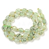 Natural Prehnite Beads Strands G-N342-43-3