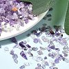 Natural Amethyst Chip Beads X-G-L453-06-3