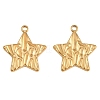 304 Stainless Steel Pendants SA-CBA9FD2-04G-1