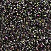 MIYUKI Delica Beads SEED-MY11-DB2205-3