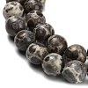 Natural Astroite Jasper Beads Strands G-F814-A01-10mm-4
