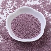 MIYUKI Delica Beads SEED-X0054-DB0253-2