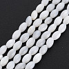 Natural Freshwater Shell Beads Strands X-SHEL-N027-08A-2