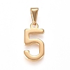 304 Stainless Steel Pendants STAS-L210-05I-G-1