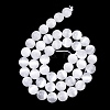 Natural Selenite Beads Strands LS-G-N328-025B-02-2