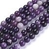 Natural Lepidolite/Purple Mica Stone Beads Strands G-K415-10mm-2