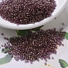 MIYUKI Delica Beads X-SEED-J020-DB0108-1