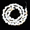 Natural Freshwater Shell Beads Strands SHEL-N026-151-2