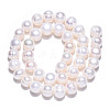 Natural Cultured Freshwater Pearl Beads Strands PEAR-N013-09C-4