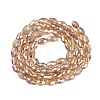 Electroplate Transparent Glass Beads Strands GL-N002-01A-A08-2