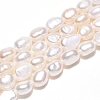 Natural Cultured Freshwater Pearl Beads Strands PEAR-N014-05F-01-2