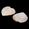Natural Freshwater Shell Cabochons SHEL-C010-10A-2