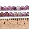Natural Lepidolite/Purple Mica Stone Beads Strands G-G160-A01-04-4