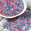 Baking Paint Glass Seed Beads SEED-P006-03A-12-1