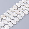 Natural White Shell Beads LS-SSHEL-Q298-07-1