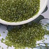 MIYUKI Delica Beads SEED-MY11-DB2377-1