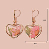 Heart Alloy Resin Dangle Earrings FS-WG72C44-02-1
