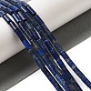 Natural Lapis Lazuli Beads Strands G-B091-A15-01-2