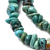 Natural HuBei Turquoise Bead Strands G-H345-A01-03-4