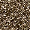 MIYUKI Delica Beads SEED-MY11-DB2396-3