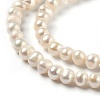Natural Cultured Freshwater Pearl Beads Strands PEAR-L033-03-01-2
