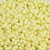Baking Paint Glass Seed Beads X1-SEED-K010-A09-2